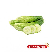 오이 / Cucumber